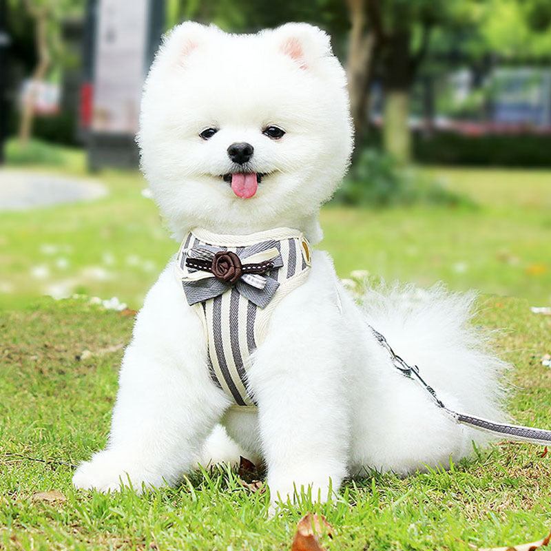 New Pet Vest-Style Chest Harness Leash Set: The Perfect Accessory for Your Furry Friend