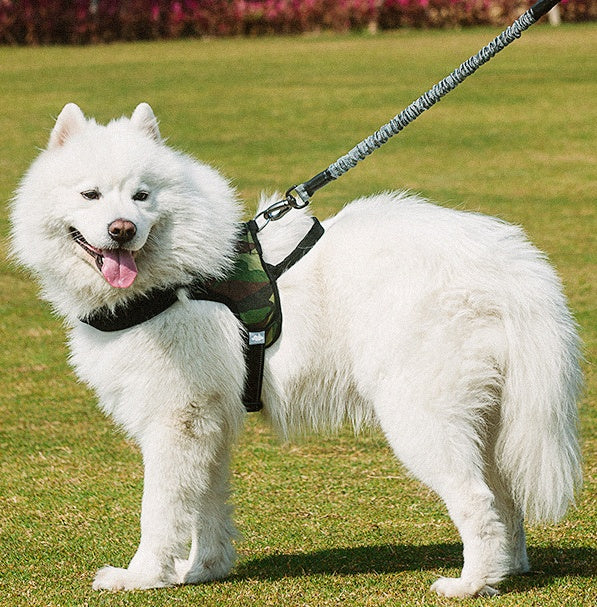 Elevate Your Pet's Walks with Our Pet Chest Harness Leash Set