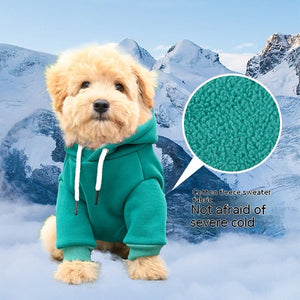 Elevate Your Pet's Style with Our Fashion Hooded Sweater